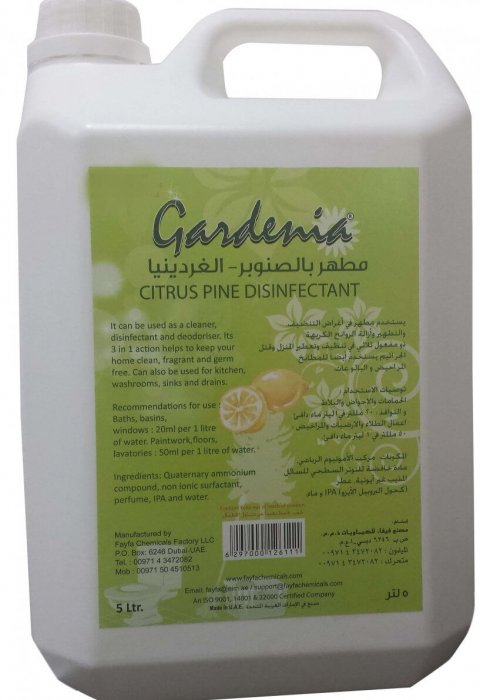 Citrus Pine Disinfectant Antiseptics Products in Ajman