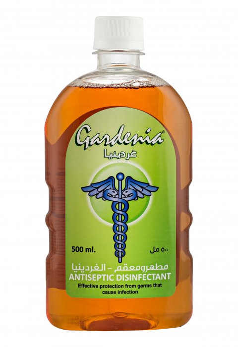 ANTISEPTIC DISINFECTANT products in dubai