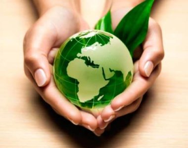 Organic Products in UAE